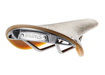 Brooks Cambium C17 S